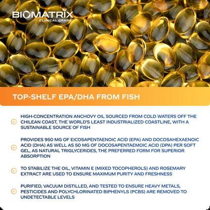 Support Omega - Omega 3 Fish Oil - Cardiovascular, Musculoskeletal Support, 120 Caps