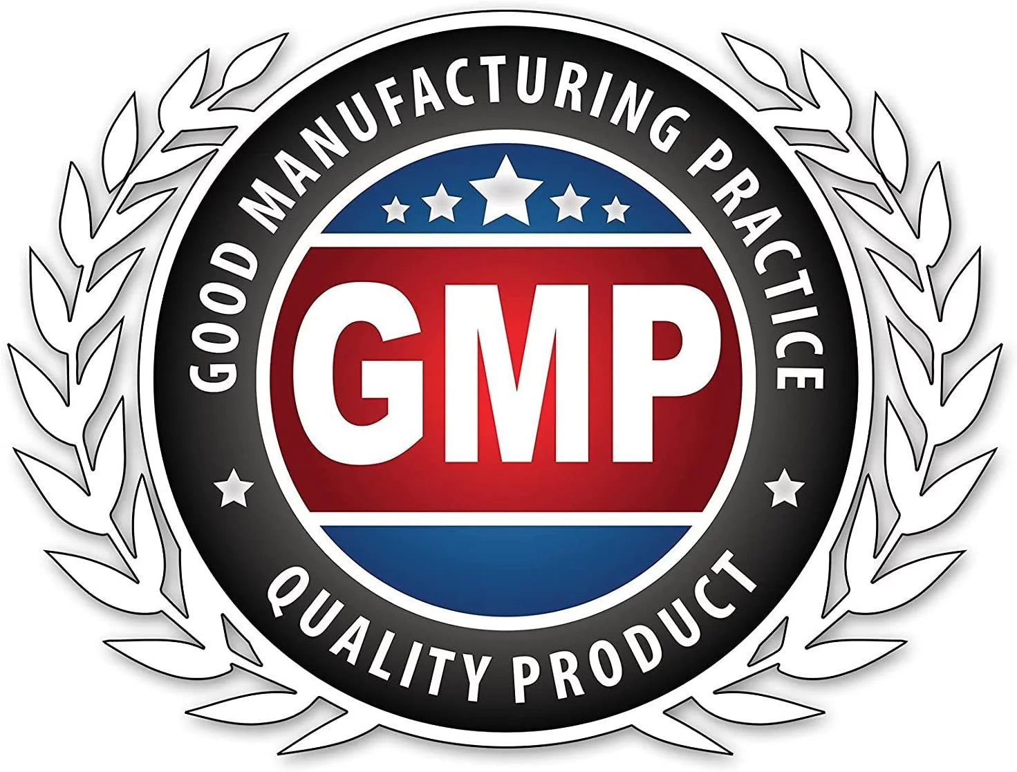 Whey Protein Gainer Chocolate Flavor 6 Lbs Supplement | Non-Gmo | Gluten Free | Made in USA