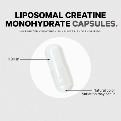 Liposomal Creatine Monohydrate Capsules, Micronized Creatine 2500Mg Sports Nutrition, 360 CtLiposomal Creatine Monohydrate Capsules, Micronized Creatine 2500Mg Sports Nutrition, 360 Ct